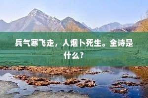 兵气寒飞走，人烟卜死生。全诗是什么？
