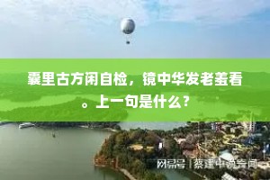 囊里古方闲自检，镜中华发老羞看。上一句是什么？