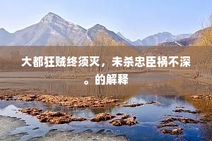 大都狂贼终须灭，未杀忠臣祸不深。的解释