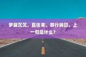 梦寐沉沉，且往来、游行销日。上一句是什么？