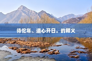 待佗年、道心开日。的释义