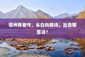 鄂州有老守，头白尚能诗。出自哪首诗？
