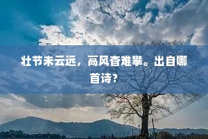 壮节未云远，高风杳难攀。出自哪首诗？