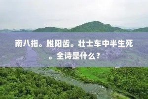 南八指。雎阳齿。壮士车中半生死。全诗是什么？
