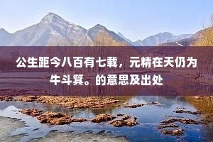 公生距今八百有七载，元精在天仍为牛斗箕。的意思及出处