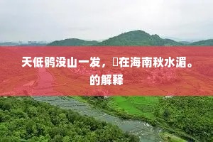 天低鹘没山一发，祇在海南秋水湄。的解释