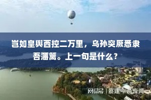 岂如皇舆西控二万里，乌孙突厥悉隶吾藩篱。上一句是什么？