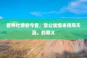 若将壮游较今昔，恐公犹恨未得周天涯。的释义