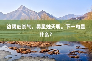 边隅近杀气，昴星烛天明。下一句是什么？