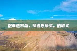 徵调选材勇，授钺思豪英。的释义