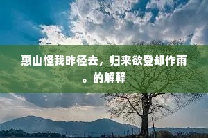 惠山怪我昨径去，归来欲登却作雨。的解释