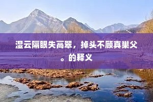 湿云隔眼失高翠，掉头不顾真巢父。的释义