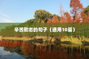 辛苦励志的句子（通用10篇）