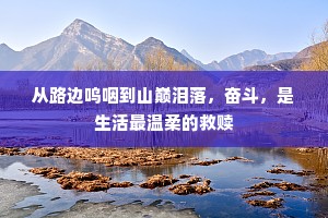 从路边呜咽到山巅泪落，奋斗，是生活最温柔的救赎