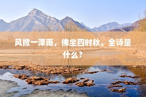 风掀一潭雨，佛坐四时秋。全诗是什么？