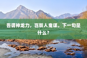 吾谓神龙力，岂翳人鬼谋。下一句是什么？