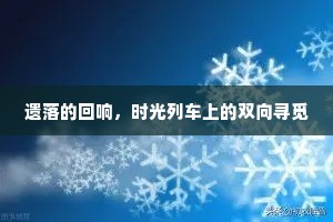 遗落的回响，时光列车上的双向寻觅