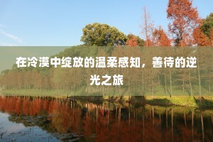 在冷漠中绽放的温柔感知，善待的逆光之旅