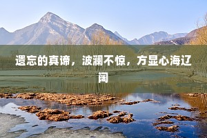 遗忘的真谛，波澜不惊，方显心海辽阔