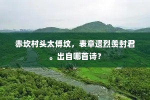 赤坎村头太傅坟，表章遗烈羡封君。出自哪首诗？