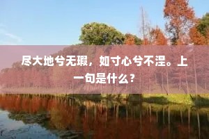 尽大地兮无瑕，如寸心兮不涅。上一句是什么？
