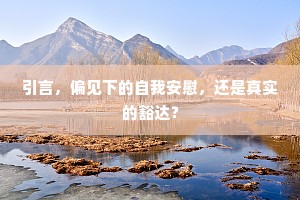 引言，偏见下的自我安慰，还是真实的豁达？
