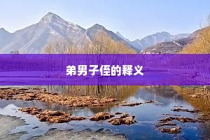 弟男子侄的释义