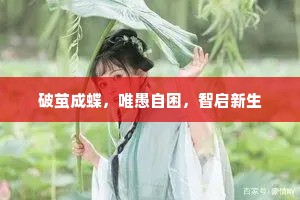 破茧成蝶，唯愚自困，智启新生
