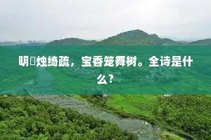 明珰烛绮疏，宝香笼舞树。全诗是什么？