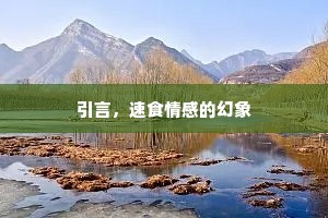 引言，速食情感的幻象