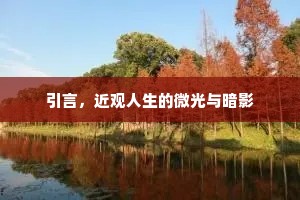 引言，近观人生的微光与暗影