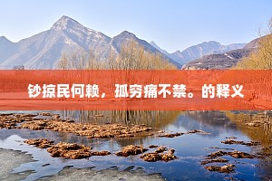 钞掠民何赖，孤穷痛不禁。的释义