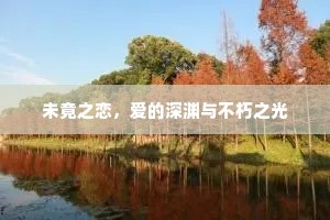 未竟之恋，爱的深渊与不朽之光