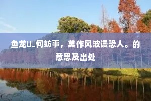 鱼龙赑屃何妨事，莫作风波谩恐人。的意思及出处