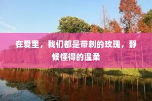 在爱里，我们都是带刺的玫瑰，静候懂得的温柔