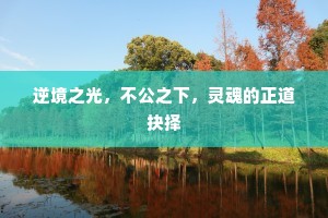 逆境之光，不公之下，灵魂的正道抉择