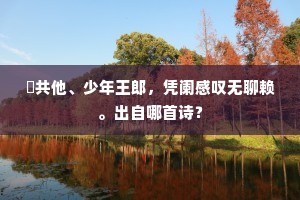 秖共他、少年王郎，凭阑感叹无聊赖。出自哪首诗？