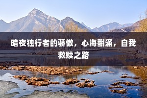 暗夜独行者的骄傲，心海翻涌，自我救赎之路