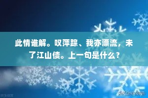 此情谁解。叹萍踪、我亦漂流，未了江山债。上一句是什么？