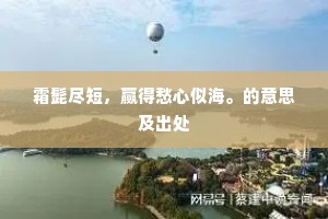 霜髭尽短，赢得愁心似海。的意思及出处