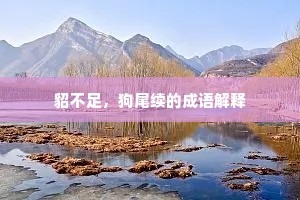 貂不足，狗尾续的成语解释