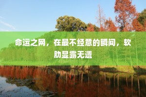 命运之网，在最不经意的瞬间，软肋显露无遗