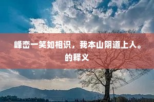 峰峦一笑如相识，我本山阴道上人。的释义