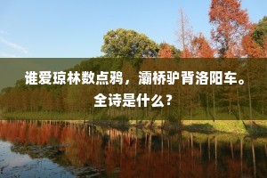 谁爱琼林数点鸦，灞桥驴背洛阳车。全诗是什么？