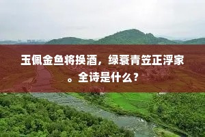 玉佩金鱼将换酒，绿蓑青笠正浮家。全诗是什么？