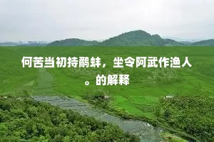 何苦当初持鹬蚌，坐令阿武作渔人。的解释