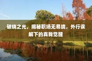 破晓之光，揭秘职场无易境，外行误解下的真我觉醒