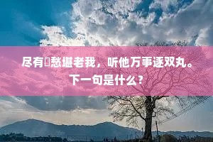 尽有閒愁堪老我，听他万事逐双丸。下一句是什么？