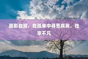 孤影自赏，在孤单中寻觅真我，独享不凡