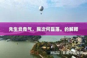 先生负奇气，胸次何磊落。的解释